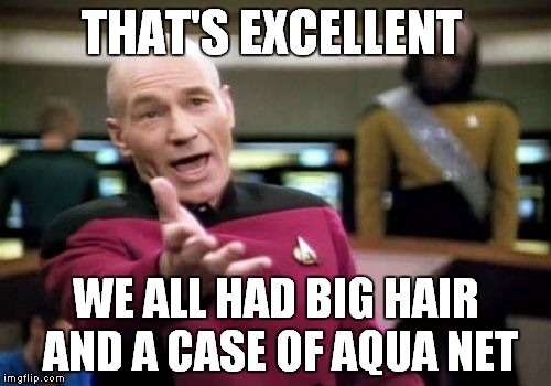 Picard Wtf Meme | THAT'S EXCELLENT WE ALL HAD BIG HAIR AND A CASE OF AQUA NET | image tagged in memes,picard wtf | made w/ Imgflip meme maker