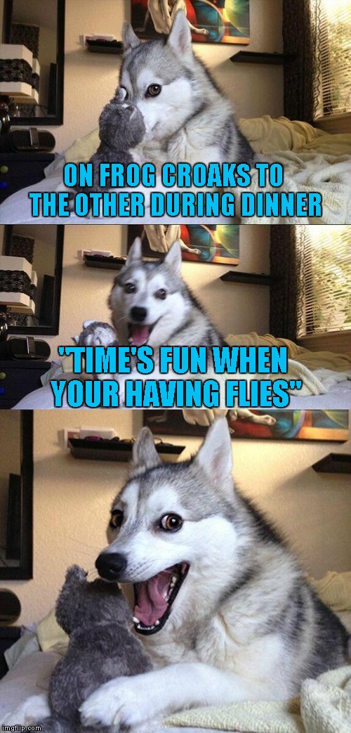 Bad Pun Dog Meme | ON FROG CROAKS TO THE OTHER DURING DINNER; "TIME'S FUN WHEN YOUR HAVING FLIES" | image tagged in memes,bad pun dog | made w/ Imgflip meme maker