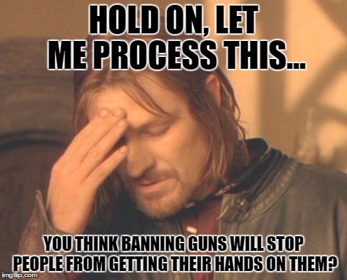 It will basically be the Prohibition all over again! | HOLD ON, LET ME PROCESS THIS... YOU THINK BANNING GUNS WILL STOP PEOPLE FROM GETTING THEIR HANDS ON THEM? | image tagged in memes,frustrated boromir,template quest,funny,stupid liberals | made w/ Imgflip meme maker