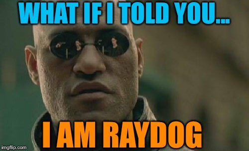 would you love me? |  WHAT IF I TOLD YOU... I AM RAYDOG | image tagged in memes,matrix morpheus | made w/ Imgflip meme maker