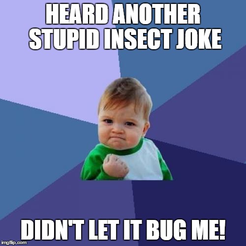Success Kid | HEARD ANOTHER STUPID INSECT JOKE; DIDN'T LET IT BUG ME! | image tagged in memes,success kid | made w/ Imgflip meme maker