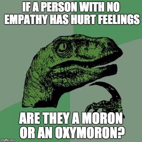 Philosoraptor | IF A PERSON WITH NO EMPATHY HAS HURT FEELINGS; ARE THEY A MORON OR AN OXYMORON? | image tagged in memes,philosoraptor | made w/ Imgflip meme maker