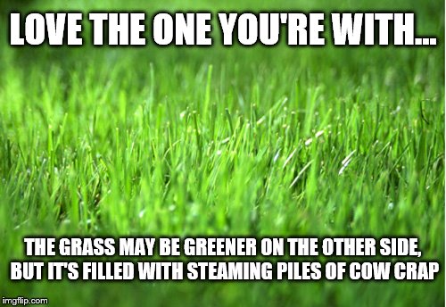 Love the One You're With | LOVE THE ONE YOU'RE WITH... THE GRASS MAY BE GREENER ON THE OTHER SIDE, BUT IT'S FILLED WITH STEAMING PILES OF COW CRAP | image tagged in grass is greener,love,memes,cow,relationship | made w/ Imgflip meme maker