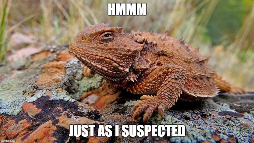 Just as I suspected | HMMM; JUST AS I SUSPECTED | image tagged in hmm,suspected,obvious,no shit,unsuprising | made w/ Imgflip meme maker