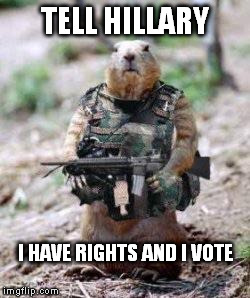 Freedom Fighters | TELL HILLARY; I HAVE RIGHTS AND I VOTE | image tagged in freedom fighters | made w/ Imgflip meme maker