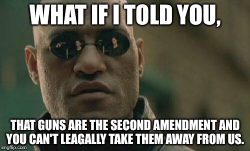 Matrix Morpheus Meme | WHAT IF I TOLD YOU, THAT GUNS ARE THE SECOND AMENDMENT AND YOU CAN'T LEAGALLY TAKE THEM AWAY FROM US. | image tagged in memes,matrix morpheus | made w/ Imgflip meme maker