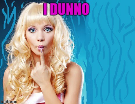 ditzy blonde | I DUNNO | image tagged in ditzy blonde | made w/ Imgflip meme maker