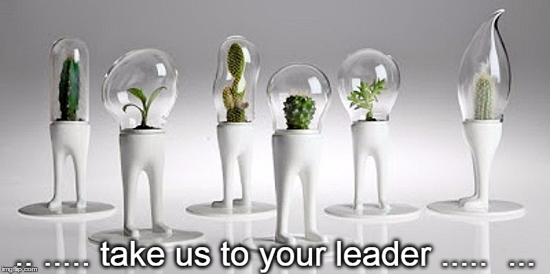 The Cacti From Outer Space | .. ..... take us to your leader .....  ... | image tagged in funny,on my planet,weird stuff,diy fails | made w/ Imgflip meme maker