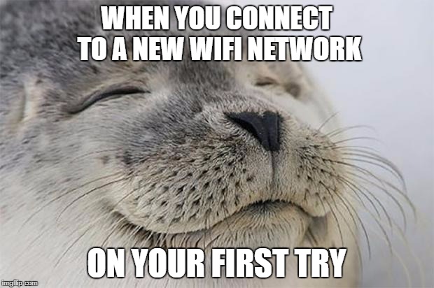 Satisfied Seal | WHEN YOU CONNECT TO A NEW WIFI NETWORK; ON YOUR FIRST TRY | image tagged in memes,satisfied seal | made w/ Imgflip meme maker