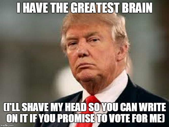 I HAVE THE GREATEST BRAIN (I'LL SHAVE MY HEAD SO YOU CAN WRITE ON IT IF YOU PROMISE TO VOTE FOR ME) | made w/ Imgflip meme maker