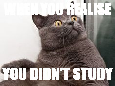 The moment when you realise.... Exams are in a month | WHEN YOU REALISE; YOU DIDN'T STUDY | image tagged in the moment when you realise exams are in a month | made w/ Imgflip meme maker