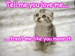 Sad Cat Meme | Tell me you love me.... .....treat me like you mean it. | image tagged in memes,sad cat | made w/ Imgflip meme maker