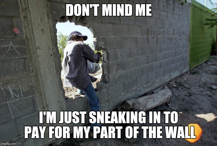 DON'T MIND ME; I'M JUST SNEAKING IN TO PAY FOR MY PART OF THE WALL | image tagged in true story | made w/ Imgflip meme maker