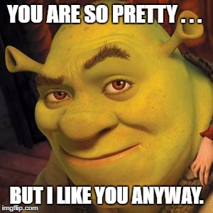 Shrek Sexy Face | YOU ARE SO PRETTY . . . BUT I LIKE YOU ANYWAY. | image tagged in shrek sexy face | made w/ Imgflip meme maker