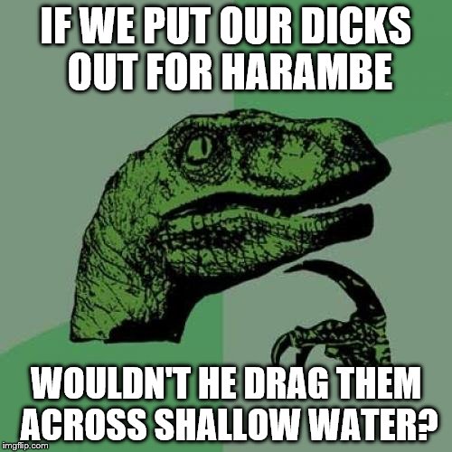 Philosoraptor | IF WE PUT OUR DICKS OUT FOR HARAMBE; WOULDN'T HE DRAG THEM ACROSS SHALLOW WATER? | image tagged in memes,philosoraptor | made w/ Imgflip meme maker