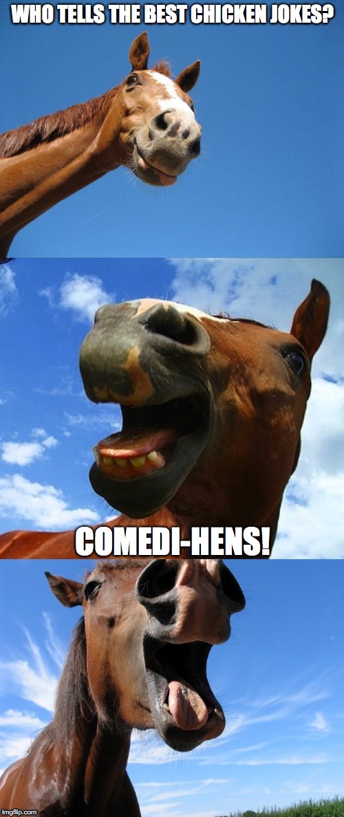 Just Horsing Around | WHO TELLS THE BEST CHICKEN JOKES? COMEDI-HENS! | image tagged in just horsing around | made w/ Imgflip meme maker