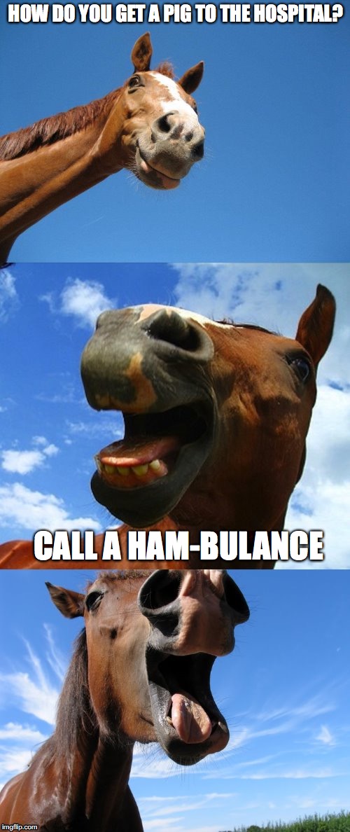 Just Horsing Around | HOW DO YOU GET A PIG TO THE HOSPITAL? CALL A HAM-BULANCE | image tagged in just horsing around | made w/ Imgflip meme maker