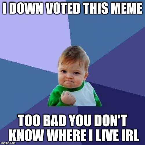 I DOWN VOTED THIS MEME TOO BAD YOU DON'T KNOW WHERE I LIVE IRL | image tagged in memes,success kid | made w/ Imgflip meme maker