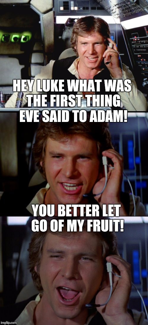 HEY LUKE WHAT WAS THE FIRST THING EVE SAID TO ADAM! YOU BETTER LET GO OF MY FRUIT! | made w/ Imgflip meme maker