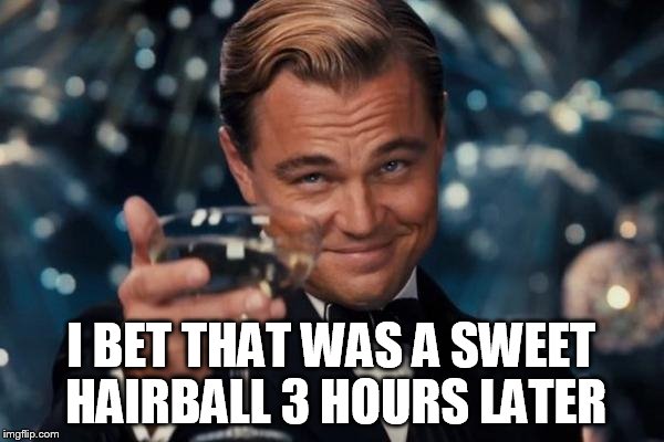 Leonardo Dicaprio Cheers Meme | I BET THAT WAS A SWEET HAIRBALL 3 HOURS LATER | image tagged in memes,leonardo dicaprio cheers | made w/ Imgflip meme maker