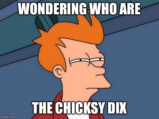 Futurama Fry Meme | WONDERING WHO ARE THE CHICKSY DIX | image tagged in memes,futurama fry | made w/ Imgflip meme maker