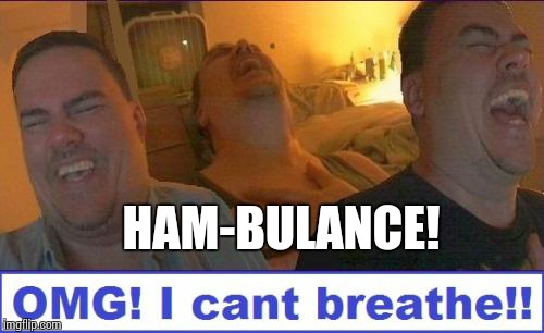 LMAO | HAM-BULANCE! | image tagged in lmao | made w/ Imgflip meme maker