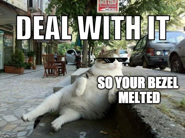 Deal with it cat | SO YOUR BEZEL MELTED | image tagged in deal with it cat | made w/ Imgflip meme maker