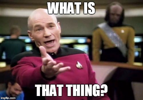 Picard Wtf Meme | WHAT IS THAT THING? | image tagged in memes,picard wtf | made w/ Imgflip meme maker