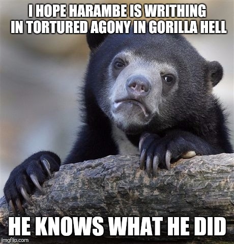 Confession Bear | I HOPE HARAMBE IS WRITHING IN TORTURED AGONY IN GORILLA HELL; HE KNOWS WHAT HE DID | image tagged in memes,confession bear | made w/ Imgflip meme maker