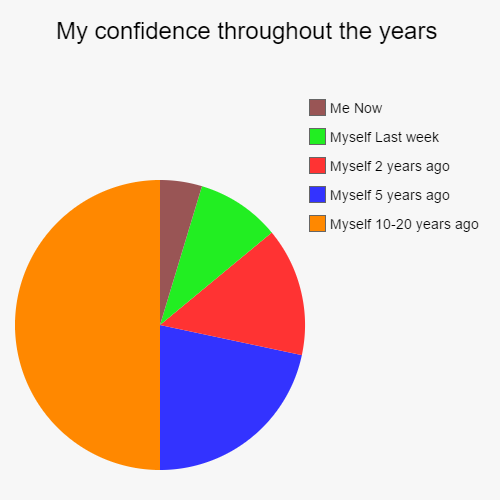 image tagged in funny,pie charts,confidence,funny pie charts | made w/ Imgflip chart maker