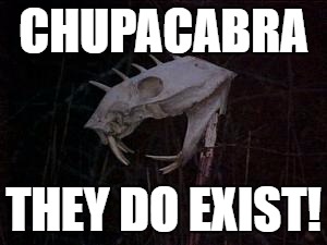 I found this skull in the woods near my home. | CHUPACABRA; THEY DO EXIST! | image tagged in mystery skulls,chupacabra | made w/ Imgflip meme maker