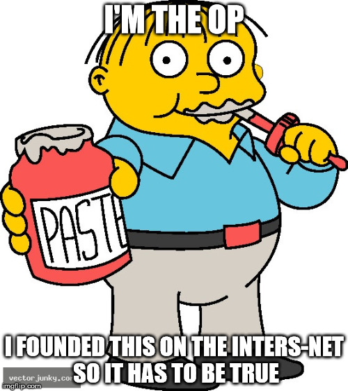 I'M THE OP; I FOUNDED THIS ON THE INTERS-NET SO IT HAS TO BE TRUE | image tagged in ralph wiggum,gullible,original poster,op | made w/ Imgflip meme maker