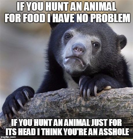 Confession Bear Meme |  IF YOU HUNT AN ANIMAL FOR FOOD I HAVE NO PROBLEM; IF YOU HUNT AN ANIMAL JUST FOR ITS HEAD I THINK YOU'RE AN ASSHOLE | image tagged in memes,confession bear | made w/ Imgflip meme maker