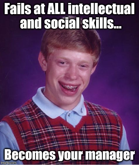 Management | Fails at ALL intellectual and social skills... Becomes your manager | image tagged in memes,bad luck brian,manager,project manager,management | made w/ Imgflip meme maker
