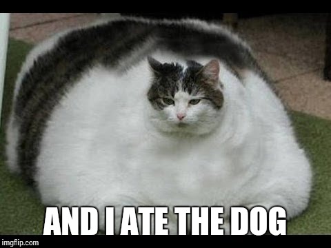 AND I ATE THE DOG | made w/ Imgflip meme maker