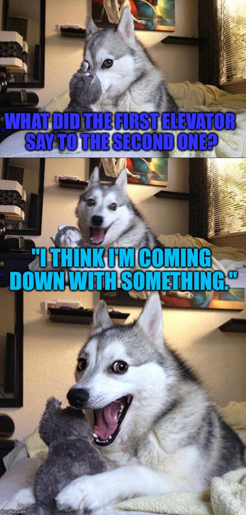 Bad Pun Dog | WHAT DID THE FIRST ELEVATOR SAY TO THE SECOND ONE? "I THINK I'M COMING DOWN WITH SOMETHING." | image tagged in memes,bad pun dog | made w/ Imgflip meme maker