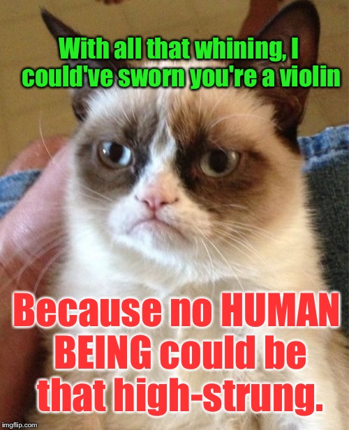 Grumpy Cat Meme | With all that whining, I could've sworn you're a violin; Because no HUMAN BEING could be that high-strung. | image tagged in memes,grumpy cat | made w/ Imgflip meme maker