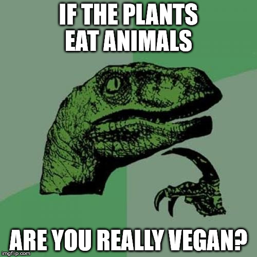 Philosoraptor Meme | IF THE PLANTS EAT ANIMALS; ARE YOU REALLY VEGAN? | image tagged in memes,philosoraptor,AdviceAnimals | made w/ Imgflip meme maker