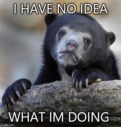 Confession Bear | I HAVE NO IDEA; WHAT IM DOING | image tagged in memes,confession bear | made w/ Imgflip meme maker