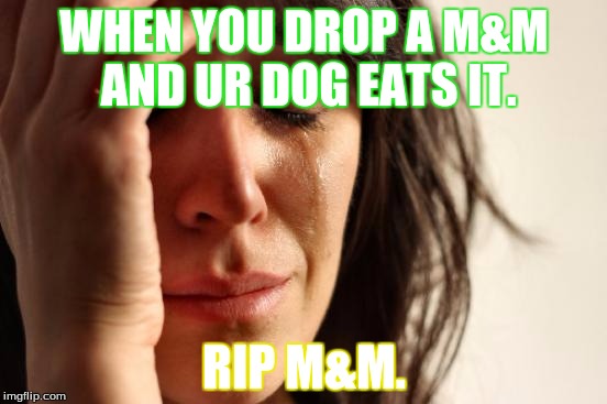 First World Problems | WHEN YOU DROP A M&M AND UR DOG EATS IT. RIP M&M. | image tagged in memes,first world problems | made w/ Imgflip meme maker