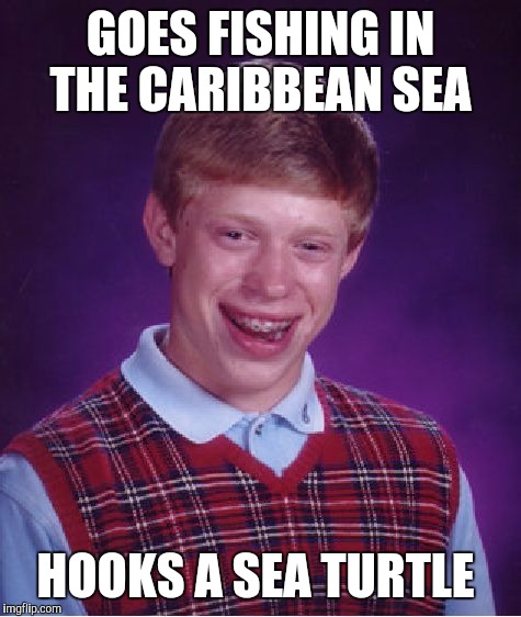 Bad Luck Brian Meme | GOES FISHING IN THE CARIBBEAN SEA; HOOKS A SEA TURTLE | image tagged in memes,bad luck brian | made w/ Imgflip meme maker