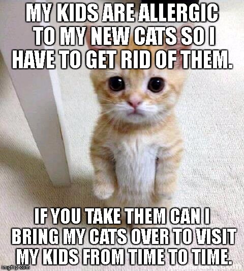 Cute Cat | MY KIDS ARE ALLERGIC TO MY NEW CATS SO I HAVE TO GET RID OF THEM. IF YOU TAKE THEM CAN I BRING MY CATS OVER TO VISIT MY KIDS FROM TIME TO TIME. | image tagged in memes,cute cat | made w/ Imgflip meme maker