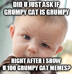 Skeptical Baby Meme |  DID U JUST ASK IF GRUMPY CAT IS GRUMPY; RIGHT AFTER I SHOW U 100 GRUMPY CAT MEMES? | image tagged in memes,skeptical baby | made w/ Imgflip meme maker