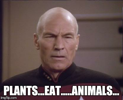 PLANTS...EAT.....ANIMALS... | made w/ Imgflip meme maker