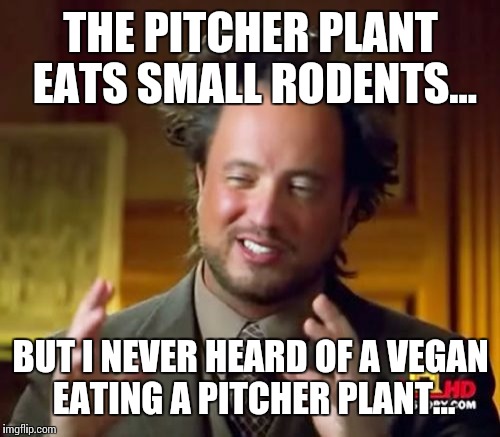 Ancient Aliens Meme | THE PITCHER PLANT EATS SMALL RODENTS... BUT I NEVER HEARD OF A VEGAN EATING A PITCHER PLANT... | image tagged in memes,ancient aliens | made w/ Imgflip meme maker