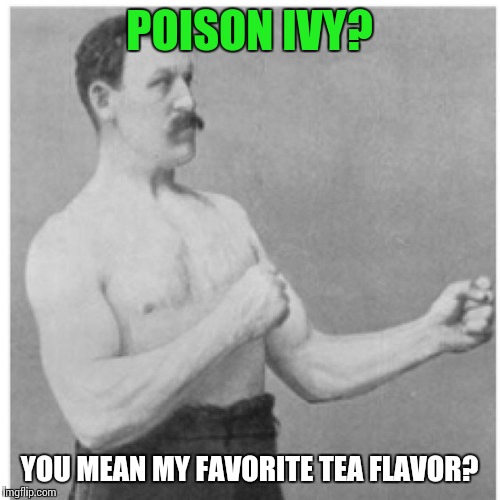 Overly Manly Man Meme | POISON IVY? YOU MEAN MY FAVORITE TEA FLAVOR? | image tagged in memes,overly manly man | made w/ Imgflip meme maker