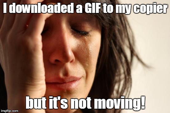 First World Problems Meme | I downloaded a GIF to my copier; but it's not moving! | image tagged in memes,first world problems | made w/ Imgflip meme maker