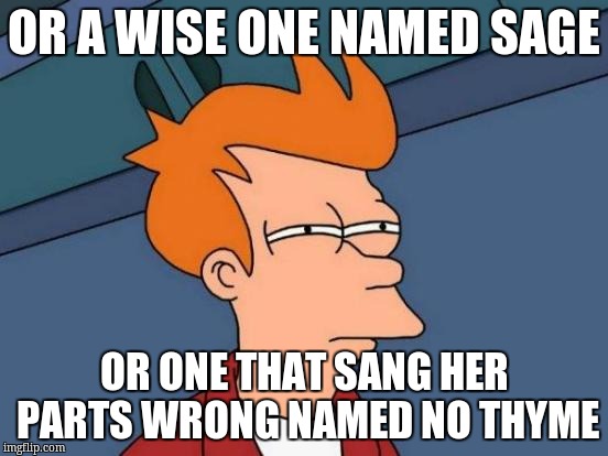 Futurama Fry Meme | OR A WISE ONE NAMED SAGE OR ONE THAT SANG HER PARTS WRONG NAMED NO THYME | image tagged in memes,futurama fry | made w/ Imgflip meme maker