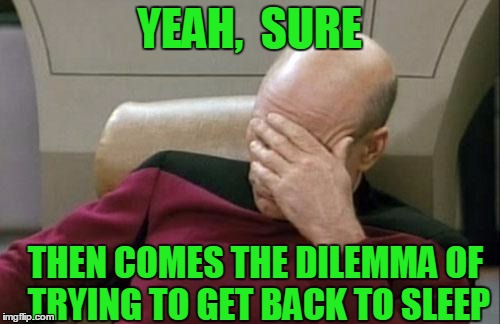 Captain Picard Facepalm Meme | YEAH,  SURE THEN COMES THE DILEMMA OF TRYING TO GET BACK TO SLEEP | image tagged in memes,captain picard facepalm | made w/ Imgflip meme maker