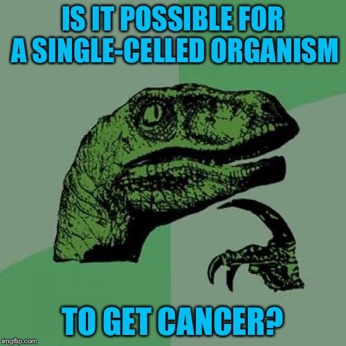 Singular Conundrum | IS IT POSSIBLE FOR A SINGLE-CELLED ORGANISM; TO GET CANCER? | image tagged in memes,philosoraptor,cancer,life,nature | made w/ Imgflip meme maker